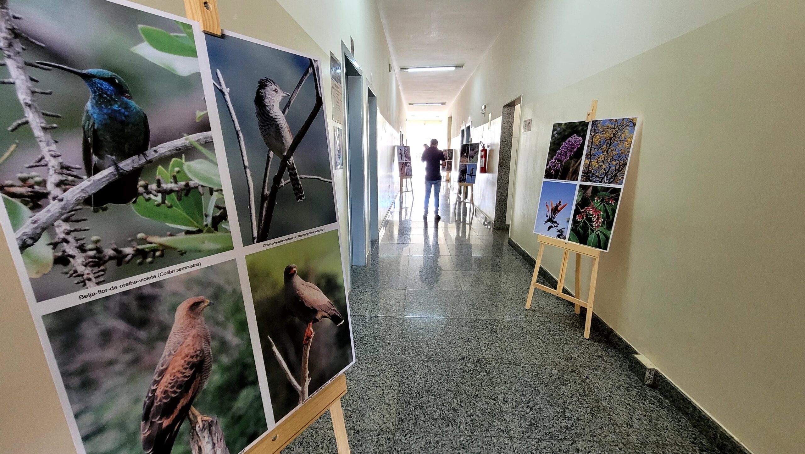 Exposição fotográfica revela belezas ocultas da natureza em Nova Serrana; saiba como visitar | Centro-Oeste