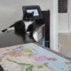 Gato aventureiro viraliza nas redes sociais; veja