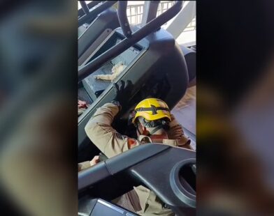 “Gato fitness” leva susto ao ficar preso em aparelho de academia. Veja