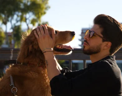 Gigante quer lançar tradutor de sons e gestos de animais para humanos