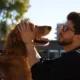 Gigante quer lançar tradutor de sons e gestos de animais para humanos