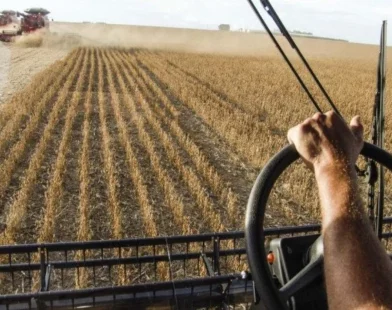 Golpe da CPR: Justiça manda ‘gigante’ apreender 2.000 toneladas de soja de agricultor