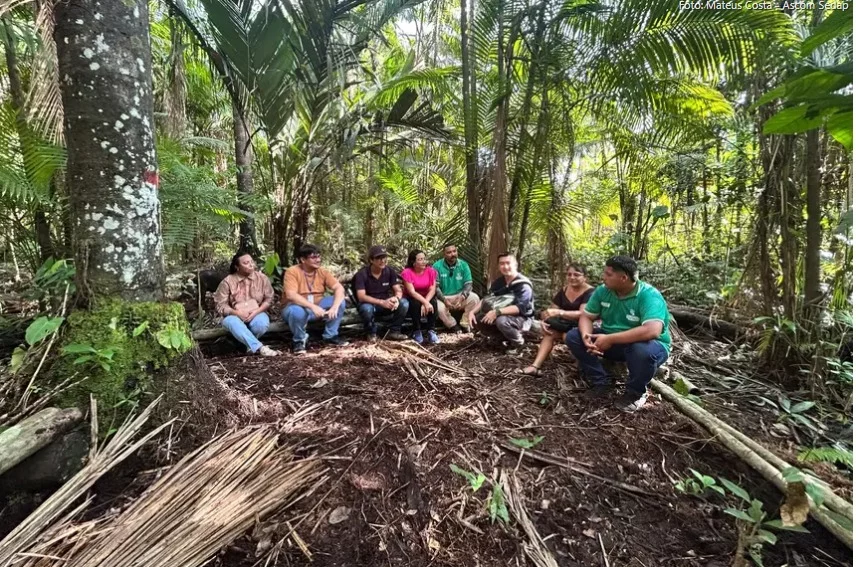 Governo britânico financiará programa piloto para impulsionar atividades sustentáveis na Amazônia