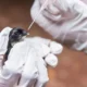 Gripe Aviária: Uruguai e SC reforçam as barreiras sanitárias nas divisas