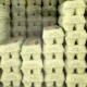 Gripe aviária: Uruguai flexibiliza restrição para importação de produtos avícolas do Brasil