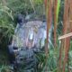 Homem morre e quatro pessoas ficam feridas após carro cair em ribanceira na BR-494, em Divinópolis