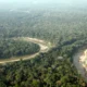 ICMBio tem 5 meses para delimitar áreas em Resex no Acre