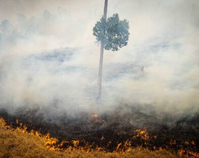 Impacto Da Fumaça Durante Décadas Pode Reduzir Em Anos A Expectativa De Vida No Acre