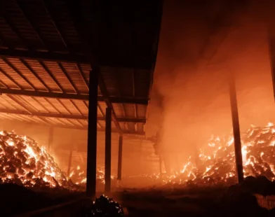 Incêndios florestais já fizeram pelo menos 18 mortos na Coreia do Sul