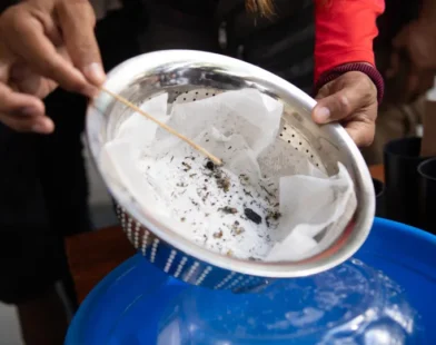 Janeiro de 2025 já é o segundo com mais mortes causadas por dengue no país