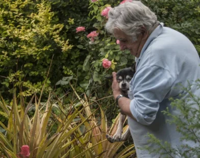 José Mujica queria ser cremado e enterrado ao lado da cadela Manuela