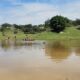 Jovem morre afogado em lago em Igaratinga