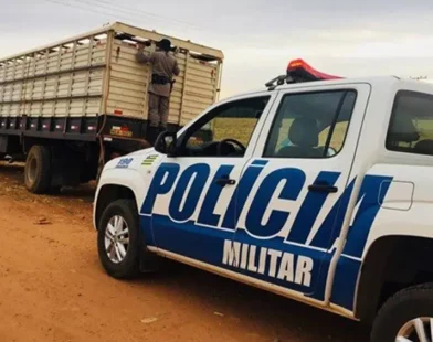Ladrões roubam cinco carretas de gado e polícia acha parte deles em um Assentamento