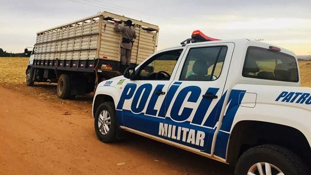 Ladrões roubam cinco carretas de gado e polícia acha parte deles em um Assentamento