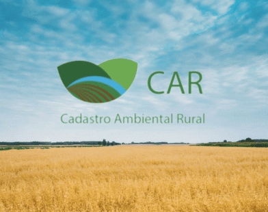 Lentidão na validação do CAR trava regularização ambiental no campo