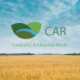 Lentidão na validação do CAR trava regularização ambiental no campo