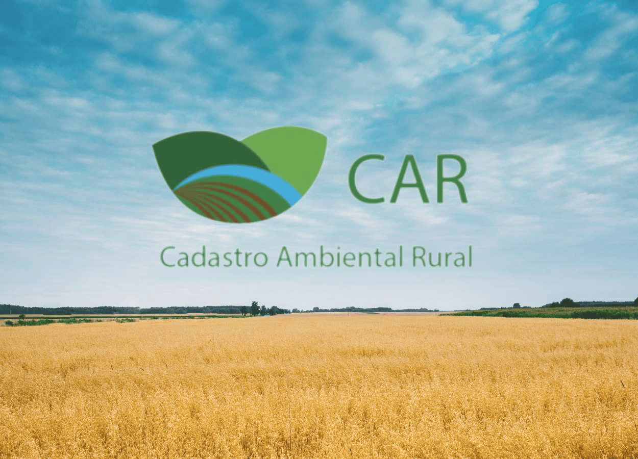 Lentidão na validação do CAR trava regularização ambiental no campo