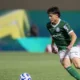 Liderança e possível recorde de público embalam Palmeiras para clássico