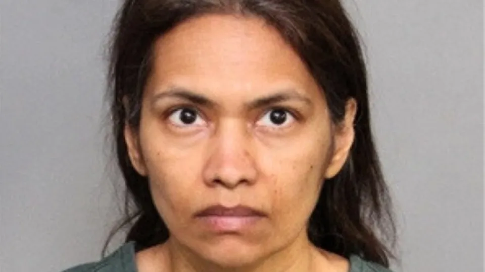 Mãe mata filho durante visita à Disneyland e avisa a polícia