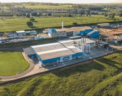 Maior esmagadora de mandioca fatura R$ 330 milhões em 2024, e mira alta de 25% em 2025