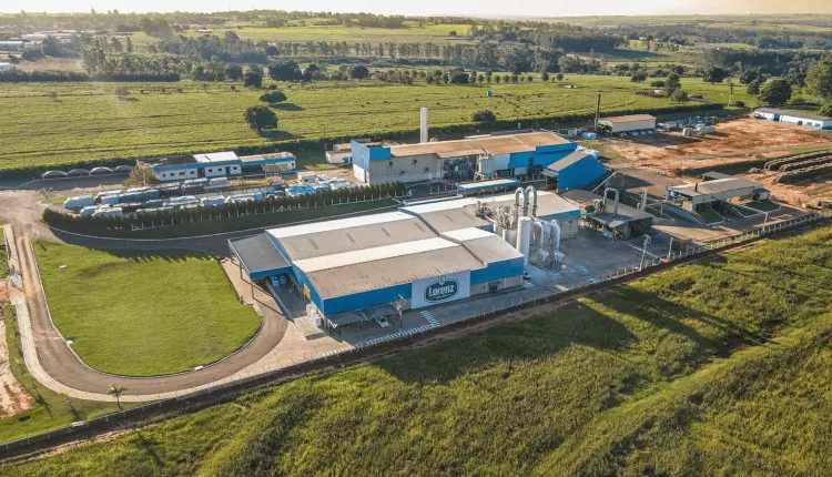 Maior esmagadora de mandioca fatura R$ 330 milhões em 2024, e mira alta de 25% em 2025