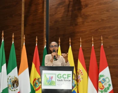 Marina reforça compromisso com a Amazônia: “combater desmatamento nem sempre é compreendido” | ac24horas