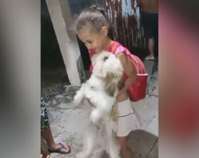 Menina que pediu volta do cachorro desaparecido como presente de aniversário reencontra o pet em Divinópolis