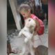 Menina que pediu volta do cachorro desaparecido como presente de aniversário reencontra o pet em Divinópolis