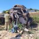 Motorista morre após acidente entre carro e caminhão carregado de melancia na BR-251, em Francisco Sá