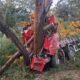 Motorista morre após caminhão bater em árvore na BR-135, em Engenheiro Navarro