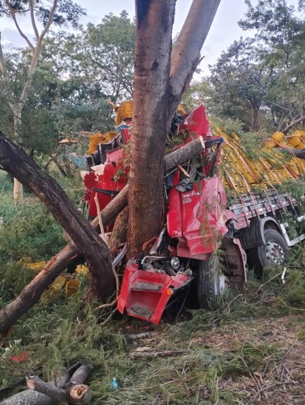 Motorista morre após caminhão bater em árvore na BR-135, em Engenheiro Navarro