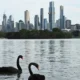 Mudanças climáticas reduzem níveis de oxigênio em lagos ao redor do mundo