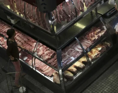 Novo patamar sanitário ajuda abertura de mercados para a carne brasileira