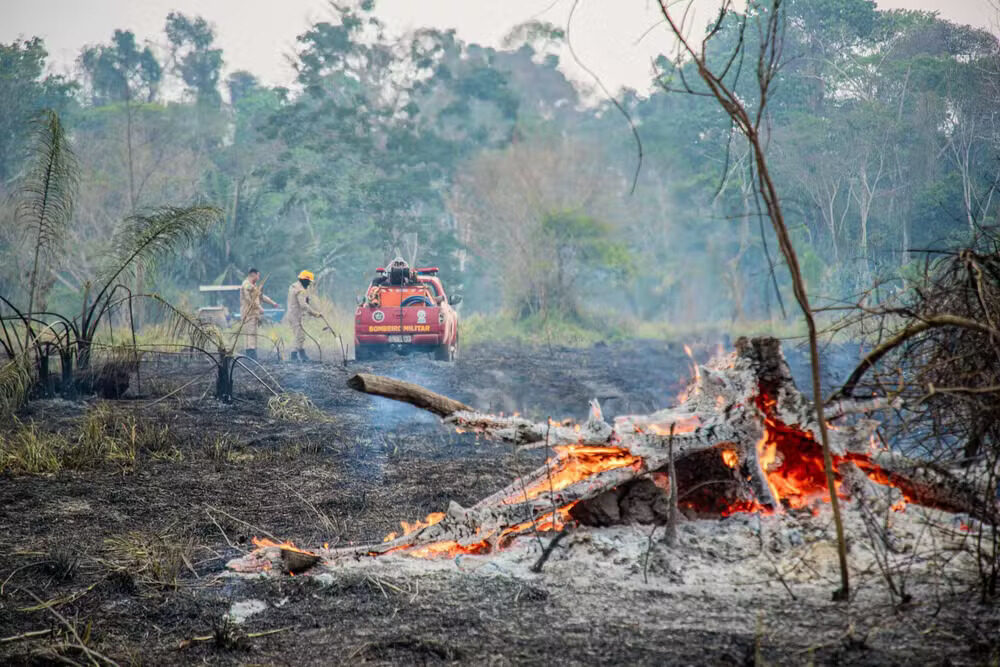 Número de queimadas reduz em 2025 no Acre, aponta Inpe