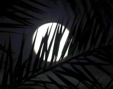 O ano de 2024 chega ao fim com uma 'Lua Negra'