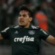 Palmeiras pode ter Gómez na Libertadores; Maurício e Paulinho são dúvidas