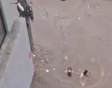Passageiros nadam para sair de ônibus alagado após temporal; veja o vídeo