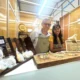 Pequenos produtores, grandes histórias: a força da agricultura familiar