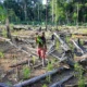 Perda de florestas no mundo bate recorde em 2024 com avanço de incêndios