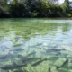 Pesquisa com bactérias na Amazônia pode desenvolver novos medicamentos