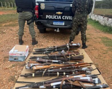 Polícia Civil entrega 168 armas ao Exército para destruição no Norte de Minas
