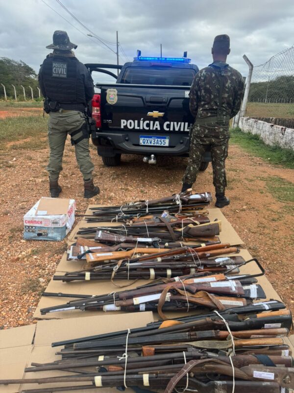 Polícia Civil entrega 168 armas ao Exército para destruição no Norte de Minas