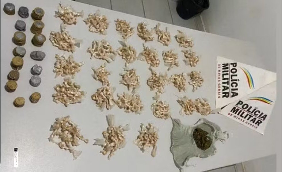 Polícia Militar apreende mais de mil pedras de crack no Norte de Minas