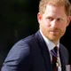 Príncipe Harry "sentiu-se forçado" a deixar de trabalhar para a realeza