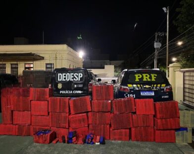 Quase 1 tonelada de maconha é apreendida dentro de caminhão durante fiscalização em Formiga