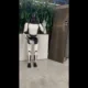 Robô da Tesla exibe nova habilidade em vídeo compartilhado por Musk