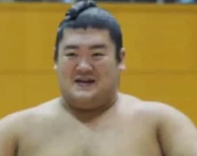 Torneio de "sumô robô” no Japão tem final entre estudantes brasileiros