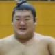 Torneio de "sumô robô” no Japão tem final entre estudantes brasileiros