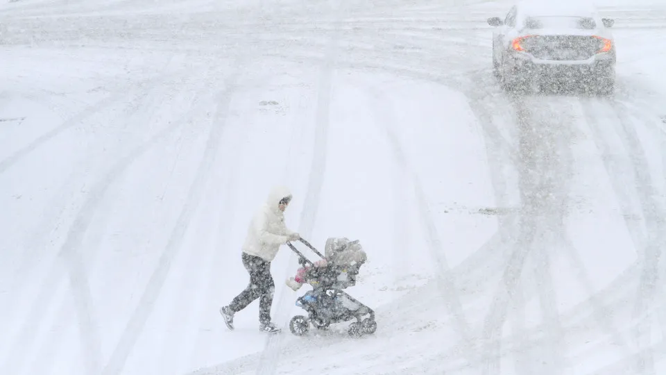 Toronto amanhece coberta por neve intensa; veja as imagens
