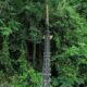 Trecho da BR-101, na Reserva Biológica de Sooretama, ganha "passarelas para animais"